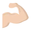 robustez